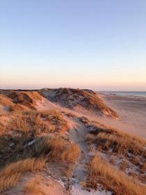 The dunes of Fjand Denmark 