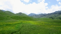 The eastern steppes in Dzukuo Valley Nagaland India 