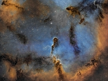 The Elephant Trunk Nebula 