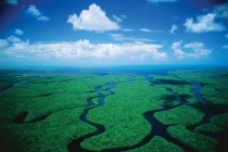The Everglades 