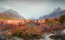 The fiery hues of autumn lenga trees in Southern Patagonia 