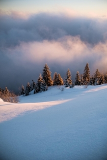 The first sunlight at the Feldberg Mountain Germany 
