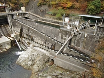 The fish ladder at the Wachino Dam 