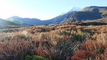The foothills of Mt Doom New Zealand 