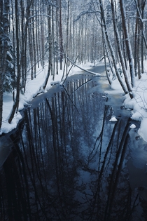 The freezing water silently flowing in the snow covered woods 