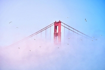 The Golden Gate Bridge of San Francisco CA