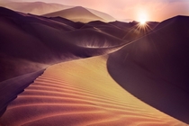 The Golden Way - the sun setting over the Rub al Khali desert on the Arabian Peninsula  by Hamad al-failakawi