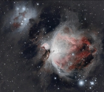 The gorgeous Orion Nebula and Running Man Nebula 