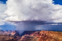 The Grand Canyon Arizona has been an elusive prey By Mike Olbinski 
