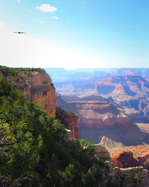 The Grand Canyon Arizona OC 