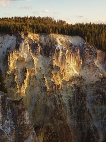 The Grand Canyon of Yellowstone 