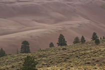 The Highest Sand Dunes in North America are in CO 