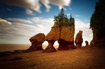 The Hopewell Rocks New Brunswick Canada 