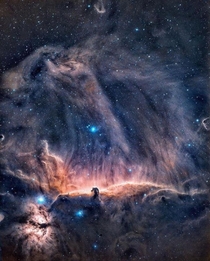 The horse head nebula