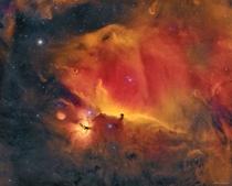 The Horsehead Nebula in Orion Credit Mario Zauner