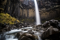 The iconic Salt Column waterfall - Svartifoss - Vatnajkull National Park Iceland - 