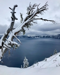 The icy blue Crater Lake after a fresh snowfall 