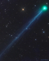The Ion Tail of New Comet SWAN by Gerald Rhemann