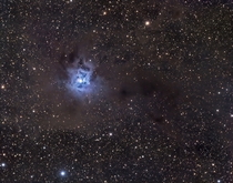 The Iris Nebula 
