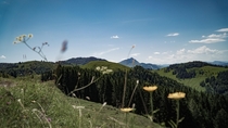 The Kitzbhler Horn Austria in the distance 