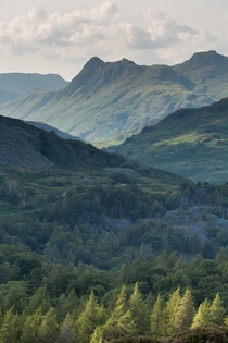 The Langdale Pikes over the treetops The Lake District England 