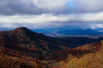 The last bit of fall color courtesy of the Great Smoky Mountains of North Carolina 