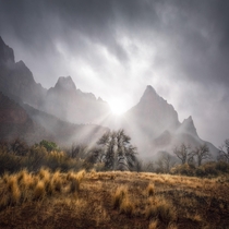 The last light on a foggy day in Zion Utah 