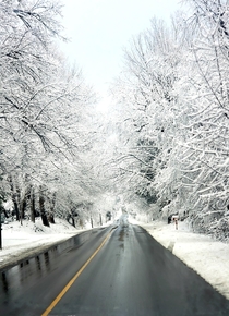 The last snowfall of last winter Near Cambridge Ontario