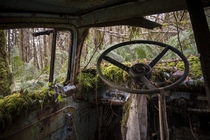 The Last Sunday Drive abandoned car interior 