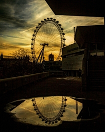 The London Eye at sunset 