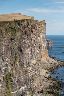 The Ltrabjarg cliffs in the Westfjords Iceland 