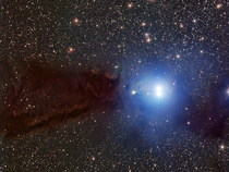 The Lupus  dark cloud and some young stars 