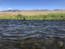 The Madison River Montana  