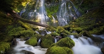 The magical and enchanting Proxy Falls in Oregon Photo by Leif Erik Smith 