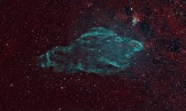 The Manatee Nebula 