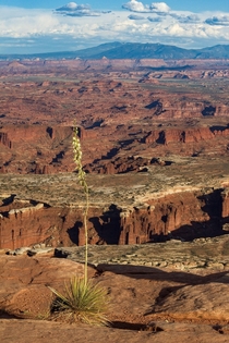 The many layers of Canyonlands National Park Utah 