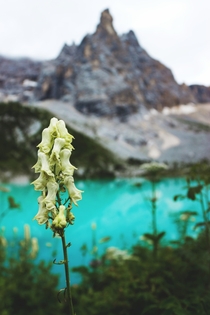 The mesmerizing waters of Lake Sorapis in the Italian Dolomites 