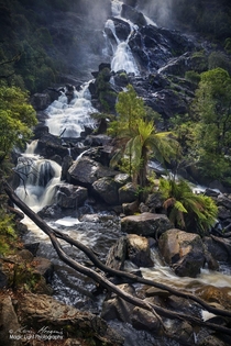 The mighty St Columba Falls in northeastern Tasmania Australia 