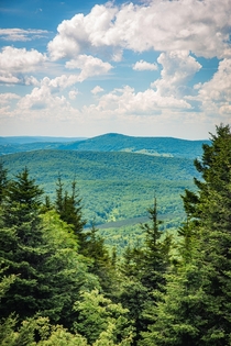 The Monongahela National Forest in West Virginia 