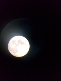 The moon through my telescope last night  not the best quality