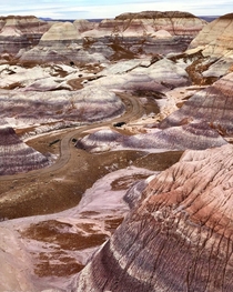 The most alien like landscape on earth Petrified Forest National Park AZ 