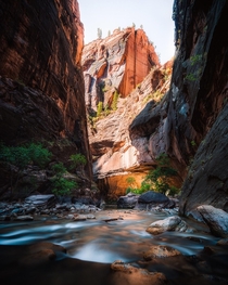 The Narrows in Zion National Park 