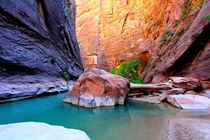 The Narrows Zion National Park 