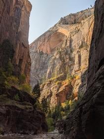 The Narrows Zion National Park UT 