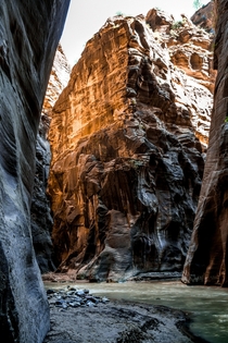 The Narrows Zion National Park Utah My heaven on earth 