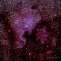 The North America Nebula amp Pelican Nebula photographed last night in the dark skies of Southern Utah  Nikon D  Nikon - E Fl lens  mm   exposures of  minutes each  ISO   f  Star Adventurer star tracker