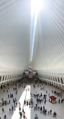 The Oculus Opens