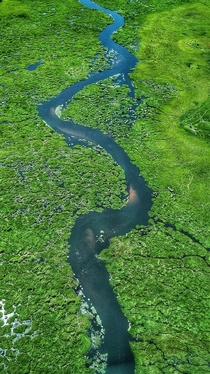 The Okavango River  x