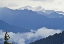 The Olympic Mountains Washington 