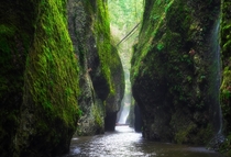The Oneonta Gorge entrance was washed out completely by recent rain showers making it unaccessible without a raft -  OC